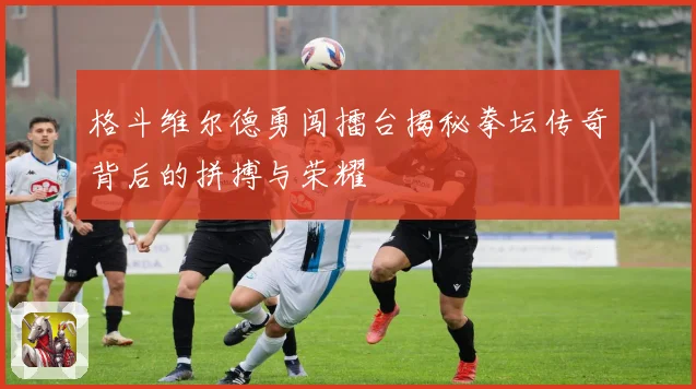 格斗维尔德勇闯擂台揭秘拳坛传奇背后的拼搏与荣耀