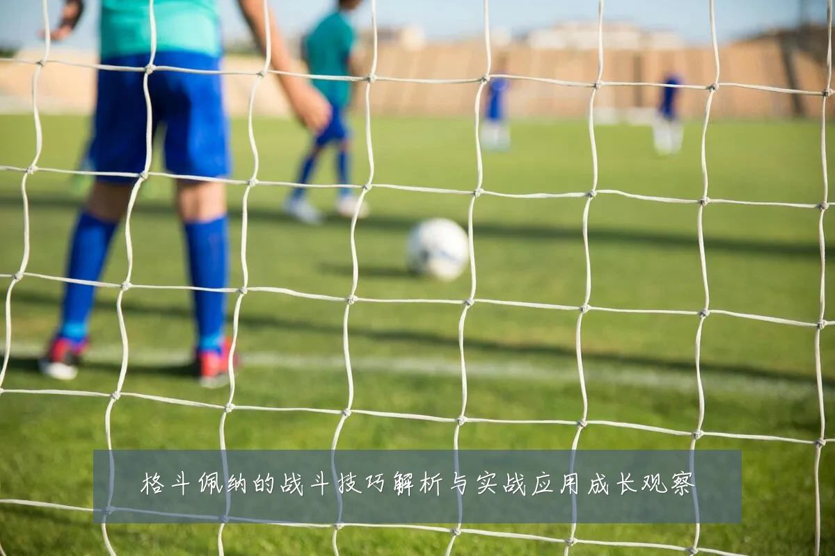 格斗佩纳的战斗技巧解析与实战应用成长观察