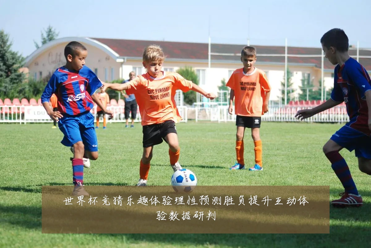 世界杯竞猜乐趣体验理性预测胜负提升互动体验数据研判